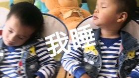 娱乐吃瓜酱打瞌睡,捕捉明星萌态瞬间